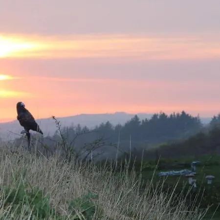 Bjergby Bed & Breakfast 3* Hjørring