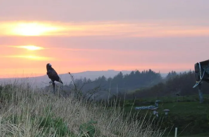 Bjergby Bed & Breakfast 3* Hjørring